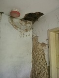Продава КЪЩА, област Добрич, с. Медово • 7000 € • 47984565 — Holmes.bg