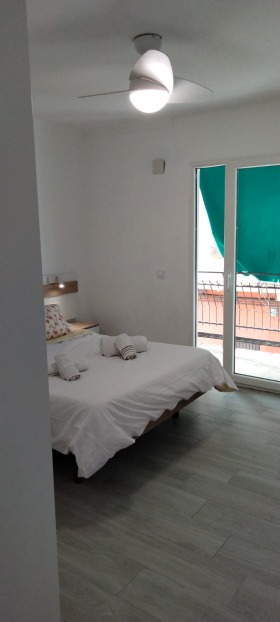 ����� ������� ����������,���� �������, ������