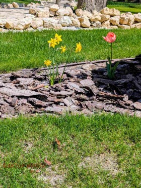 ������� 2-����� | Imot.bg � ����� ������ 13