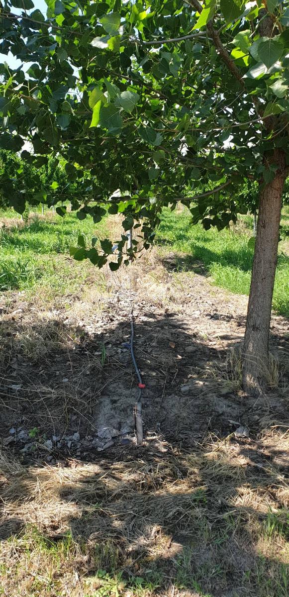 Προς πώληση  Γη περιοχή Παζαρτζίκ , Ζβανητσεβο , 39 dka | 57606573 - εικόνα [5]