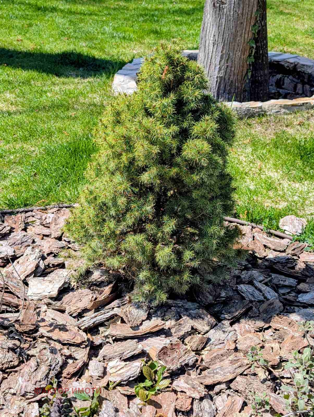 Продава 2-СТАЕН, гр. Варна, м-т Ален мак, снимка 17 - Апартаменти - 54264988