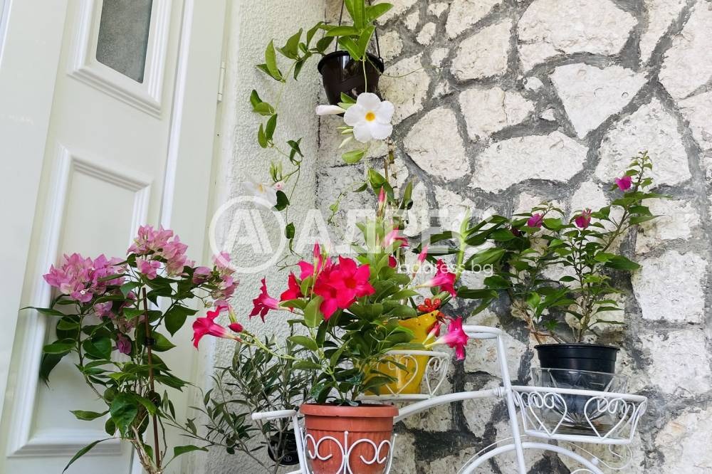 ������� ���� | Imot.bg � ����������� 8