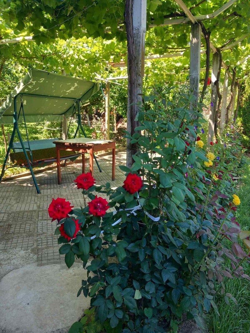 Продава КЪЩА, с. Бистра, област Търговище, снимка 6 - Къщи - 52783968