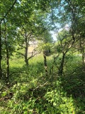 Продава ПАРЦЕЛ, град София, с. Герман • 56000 € • 57402151 — Holmes.bg