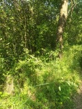 Продава ПАРЦЕЛ, град София, с. Герман • 56000 € • 57402151 — Holmes.bg