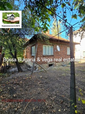 Hus Gorna Orjahovica, region Veliko Tarnovo