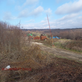 Парцел гр. Антоново, област Търговище 1