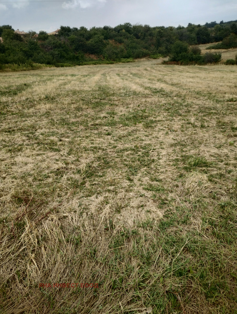 Til salg  Grund region Targovishte , Antonovo , 4 kvm | 66629893 - billede [3]