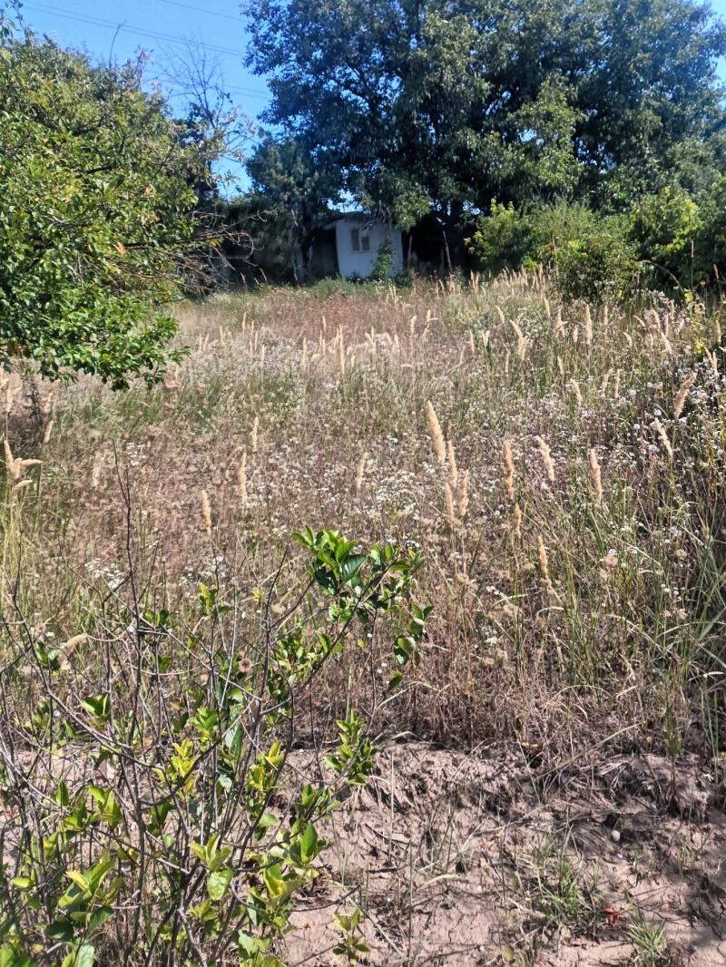 Продава  Парцел град Разград , Промишлена зона - Запад , 993 кв.м | 58034575