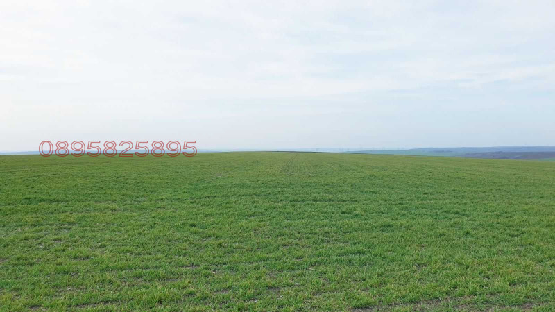 Na prodej  Přistát oblast Dobrich , Dobrič , 5 dka | 28185006