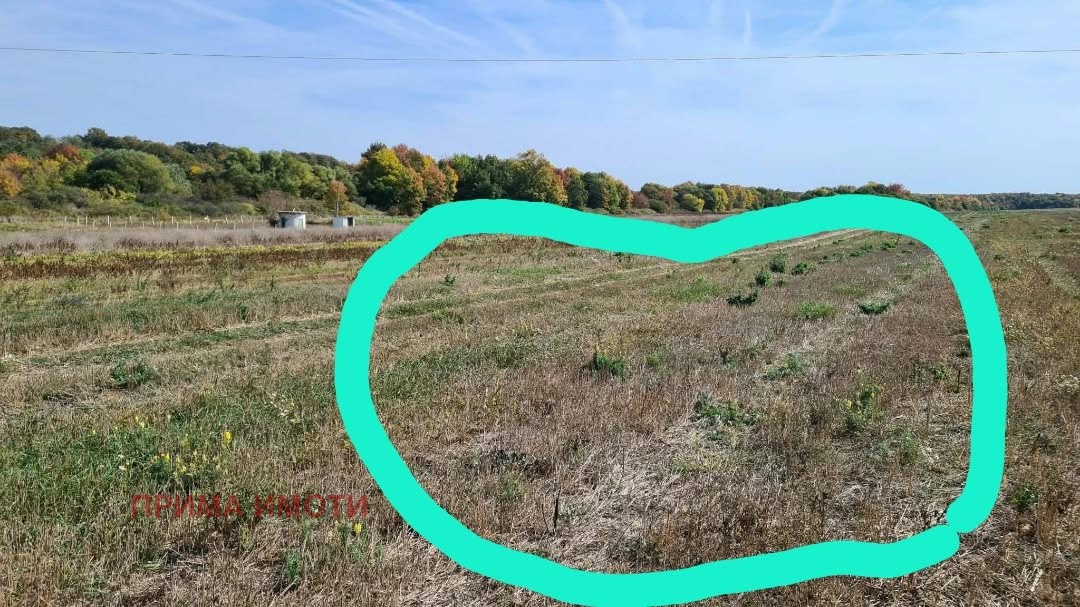 Продава ЗЕМЕДЕЛСКА ЗЕМЯ, с. Близнаци, област Варна