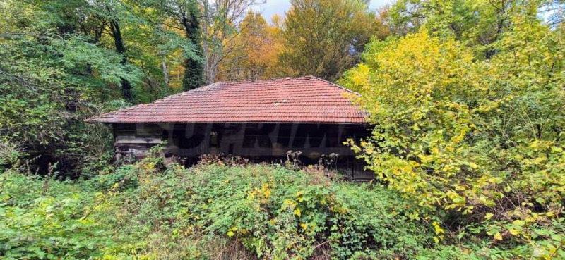 Продава КЪЩА, гр. Плачковци, област Габрово, снимка 4 - Къщи - 52085563