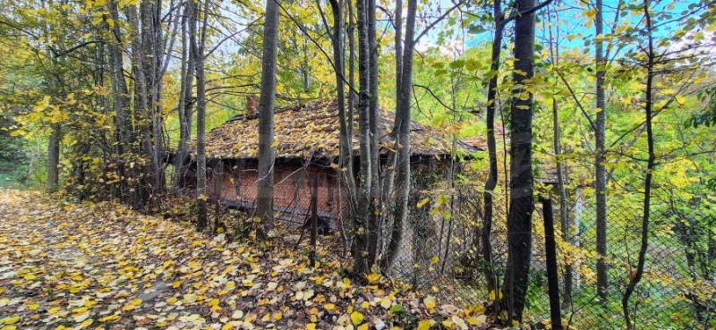 Продава КЪЩА, гр. Плачковци, област Габрово, снимка 3 - Къщи - 52085563