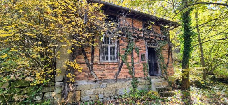 Продава КЪЩА, област Габрово, гр. Плачковци • 65000 € / 127128.95 лв. • 24992526 1