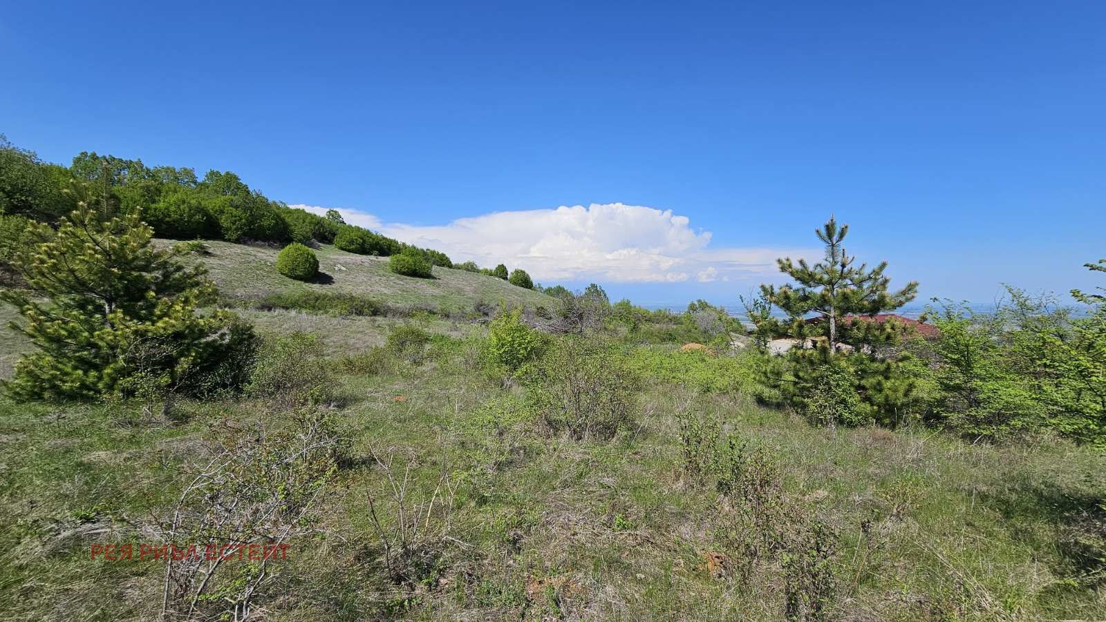 ������� ������ | Imot.bg � ����������� 5