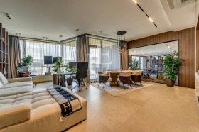 2 Schlafzimmer Simeonowo, Sofia