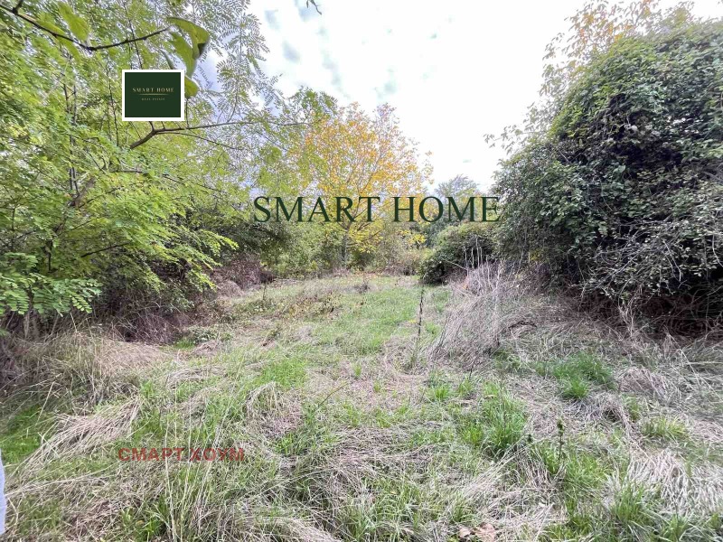 Продава КЪЩА, с. Добри дял, област Велико Търново, снимка 3 - Къщи - 52366579