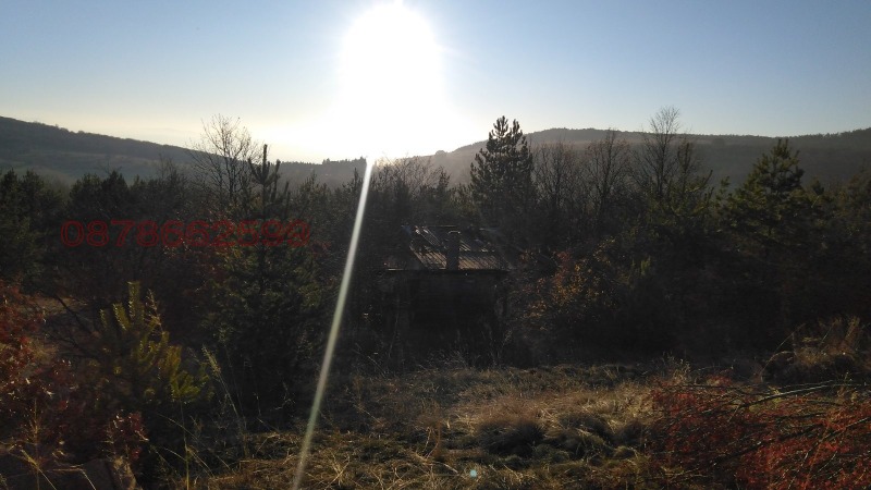 Продава ВИЛА, с. Царичина, област София област, снимка 3 - Вили - 52809256