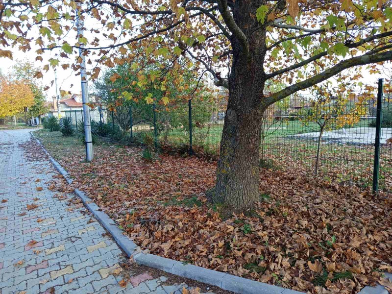 Продава ПАРЦЕЛ, с. Голямо Дряново, област Стара Загора, снимка 5 - Парцели - 52410847