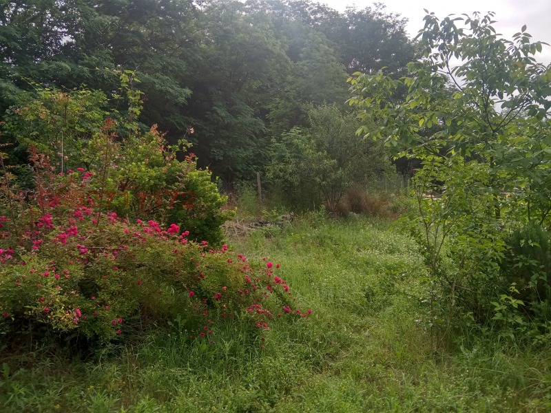 Продава КЪЩА, с. Круша, област Варна, снимка 4 - Къщи - 53005530