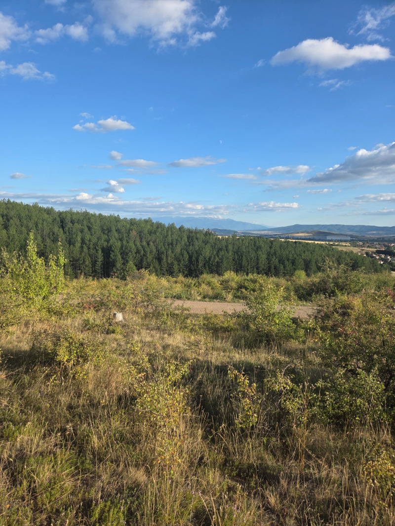 Na prodej  Spiknutí oblast Pernik , Radomir , 600 m2 | 51107455 - obraz [4]