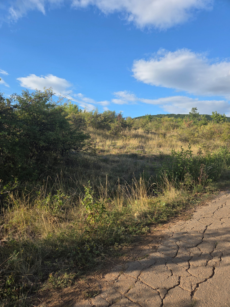 Na prodej  Spiknutí oblast Pernik , Radomir , 600 m2 | 51107455 - obraz [3]