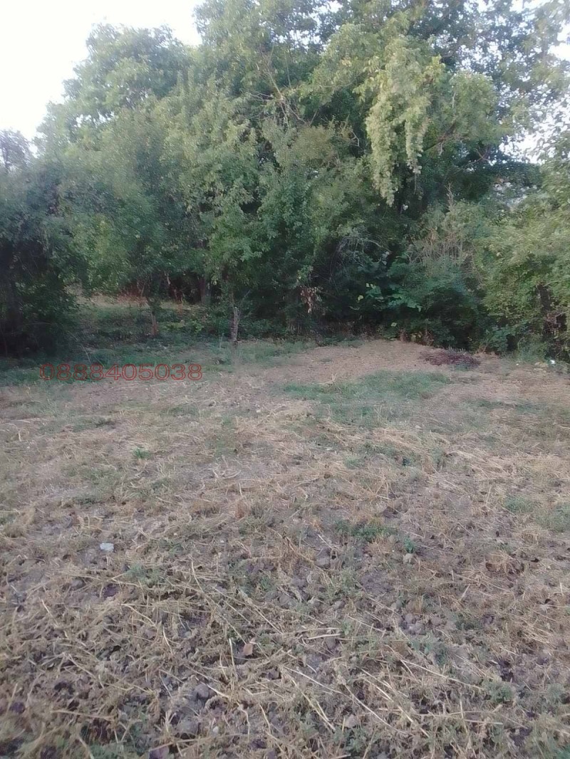 Продава КЪЩА, с. Граница, област Кюстендил, снимка 15 - Къщи - 52773482