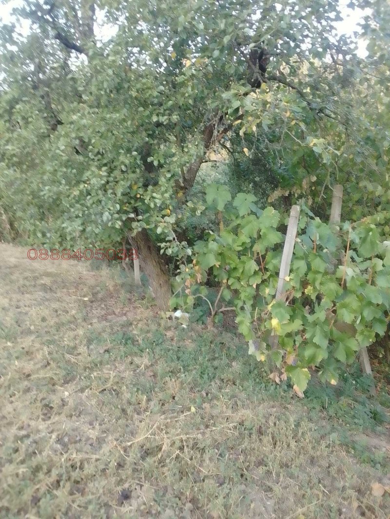 Продава КЪЩА, с. Граница, област Кюстендил, снимка 16 - Къщи - 52773482