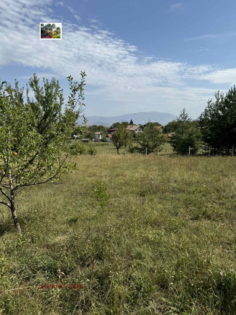 For Sale  Plot region Kyustendil , Zhilentsi , 6800 sq.m | 13364414 - image [5]