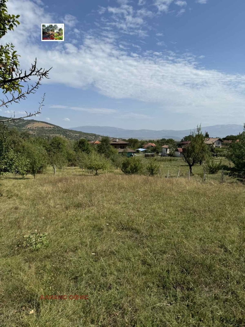 À venda  Trama região Kyustendil , Jilenci , 6800 m² | 13364414 - imagem [9]