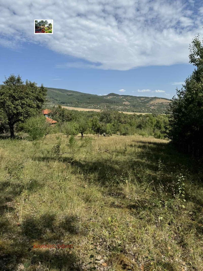 For Sale  Plot region Kyustendil , Zhilentsi , 6800 sq.m | 13364414 - image [6]