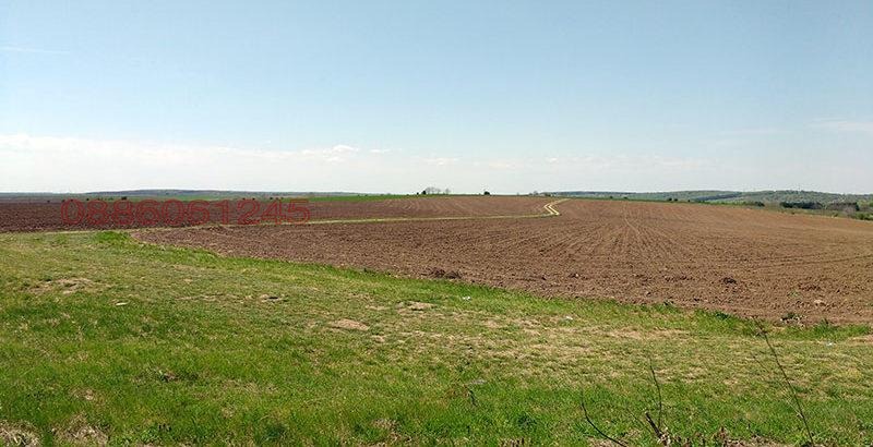 Продава ЗЕМЕДЕЛСКА ЗЕМЯ, с. Добротица, област Силистра