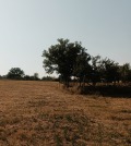 Продава ПАРЦЕЛ, гр. Велики Преслав, област Шумен, снимка 1