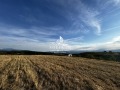 Продава ЗЕМЕДЕЛСКА ЗЕМЯ, с. Дъбрава, област Благоевград, снимка 5