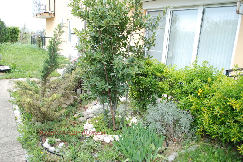 Продаја  1 спаваћа соба регион Бургас , Свети Влас , 45 м2 | 99620442 - слика [11]
