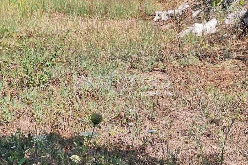 Προς πώληση  σπίτι Βαρνα , μ-τ Περτσεμληιατα , 39 τ.μ | 62936048 - εικόνα [9]