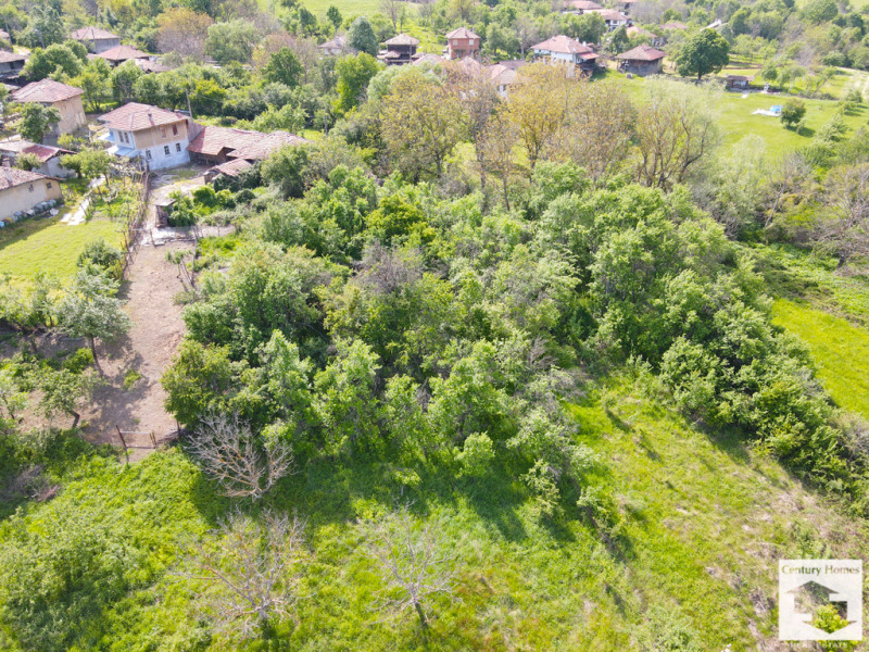 Eladó  Cselekmény régió Veliko Tarnovo , Lazarci , 1586 négyzetméter | 90800661 - kép [3]
