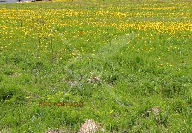 Til salgs  Plott region Plovdiv , Sokolitsa , 5999 kvm | 23282957