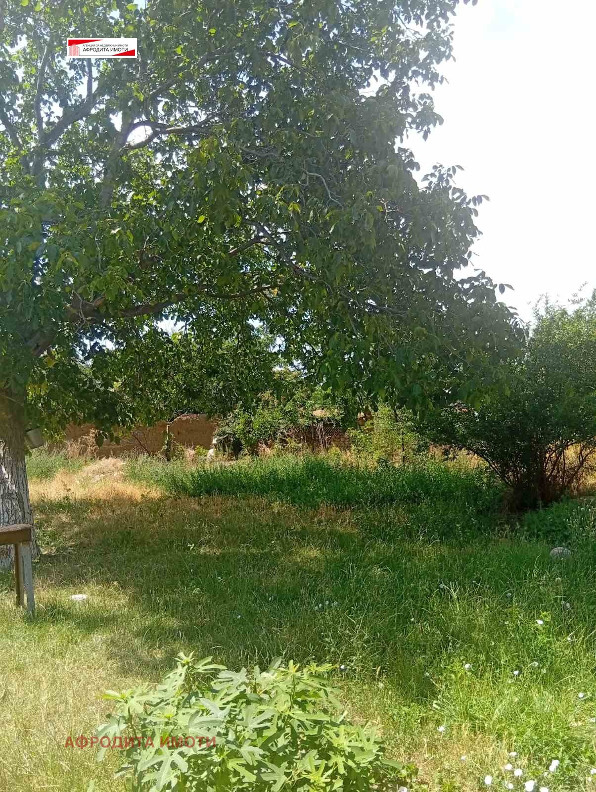Продава КЪЩА, с. Дълбоки, област Стара Загора, снимка 9 - Къщи - 55406117