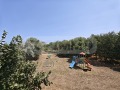 Продава 3-СТАЕН, област Добрич, гр. Балчик • 90000 € / 176024.70 лв. • 32749312 16