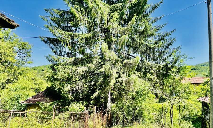 ������� ���� | Imot.bg � ����������� 2