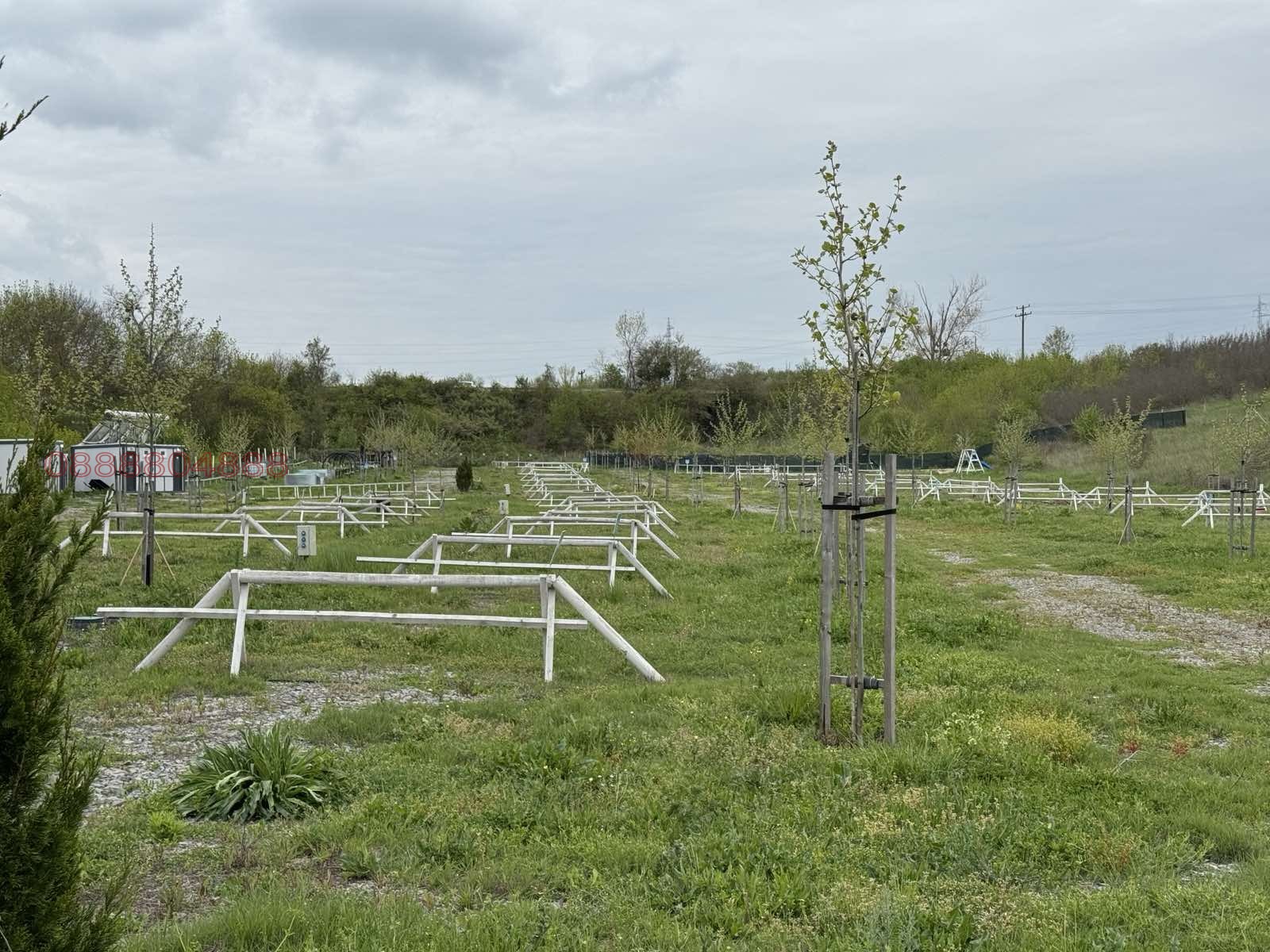 Продава БИЗНЕС ИМОТ, с. Лозенец, област Бургас, снимка 3 - Други - 55014283
