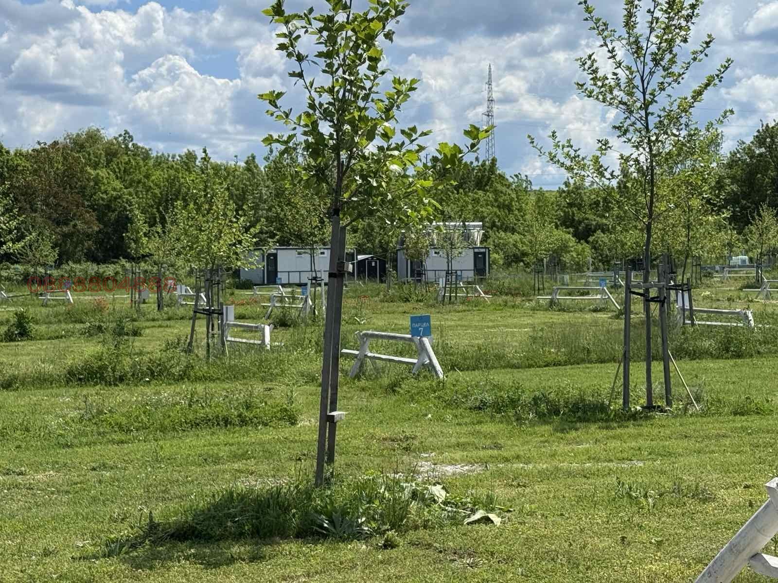 Продава БИЗНЕС ИМОТ, с. Лозенец, област Бургас, снимка 4 - Други - 55014283
