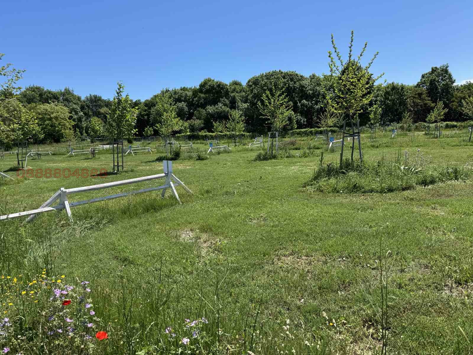 Продава БИЗНЕС ИМОТ, с. Лозенец, област Бургас, снимка 2 - Други - 55014283