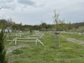 Продава БИЗНЕС ИМОТ, с. Лозенец, област Бургас, снимка 3