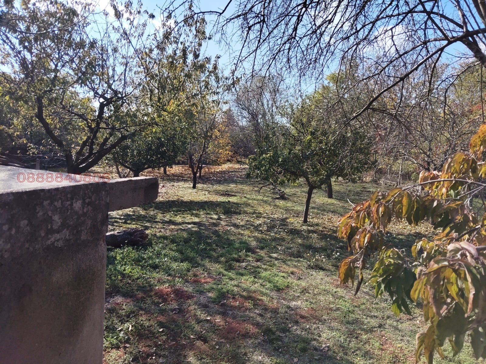 ������� ���� | Imot.bg � ����������� 12