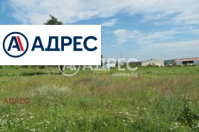 ������ ������� ������