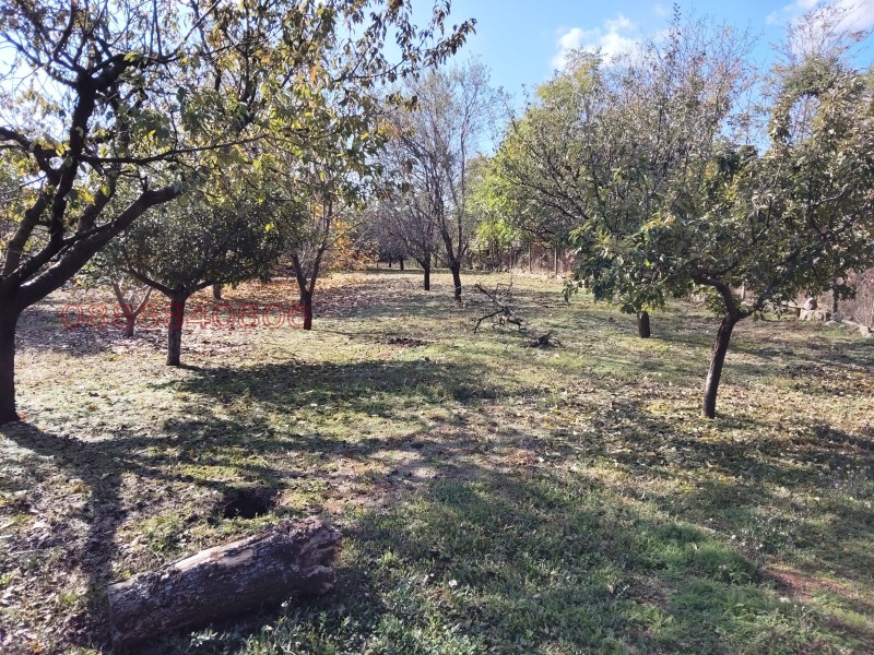 Продава КЪЩА, с. Екзарх Йосиф, област Русе, снимка 8 - Къщи - 52780821