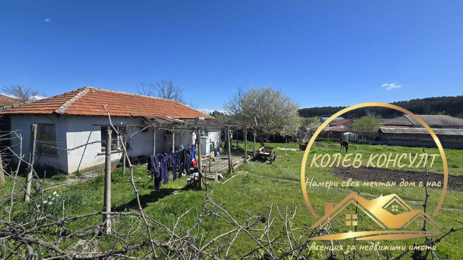 Продава КЪЩА, с. Бял извор, област Стара Загора, снимка 2 - Къщи - 56013477