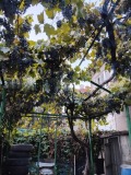Продава ЕТАЖ ОТ КЪЩА, гр. Русе, Родина 2, снимка 4